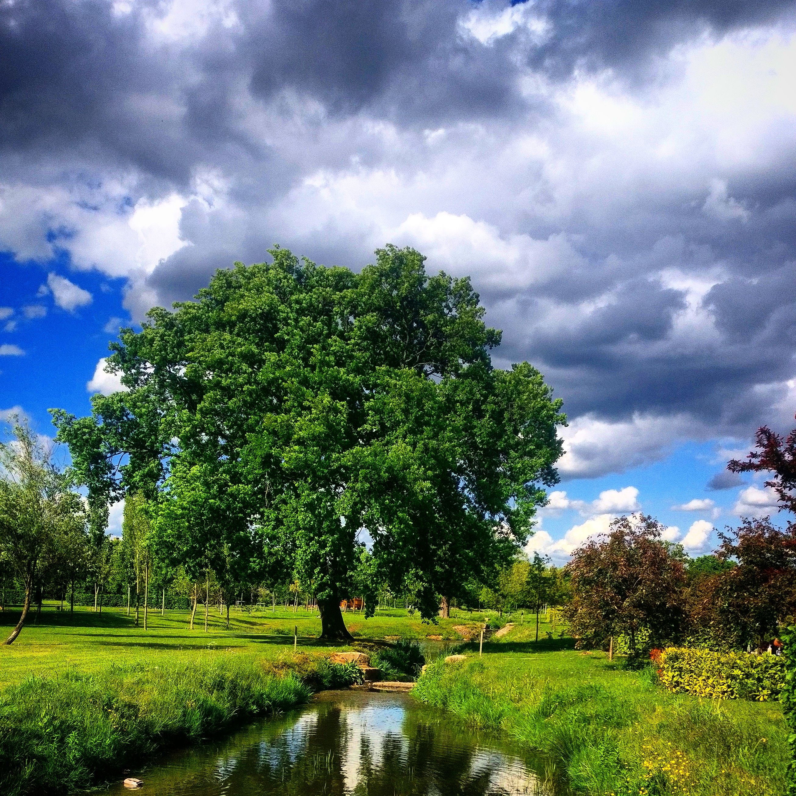 garden of peace